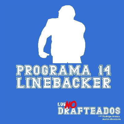 Programa 14: Linebacker