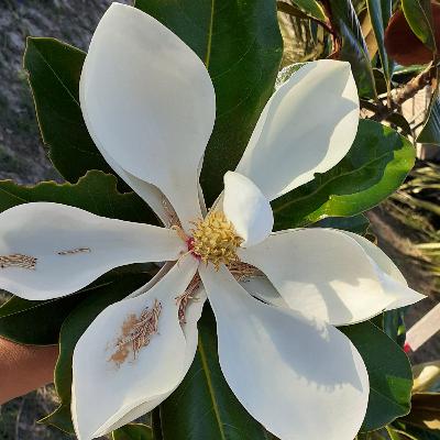 Ejercicios de respiración Ejercicios de respiración