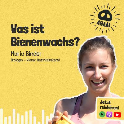 Ahaa! - Was ist Bienenwachs? Ahaa! - Was ist Bienenwachs?