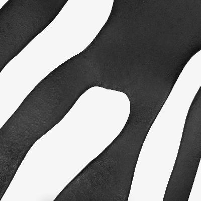Conversations with New Zealand Photographers - Neil Pardington Conversations with New Zealand Photographers - Neil Pardington