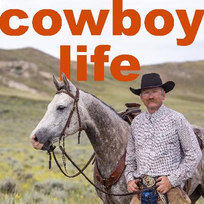 Kevin Meyer: Wyoming Rancher, Cowboy, Horse Trainer/Clinician,