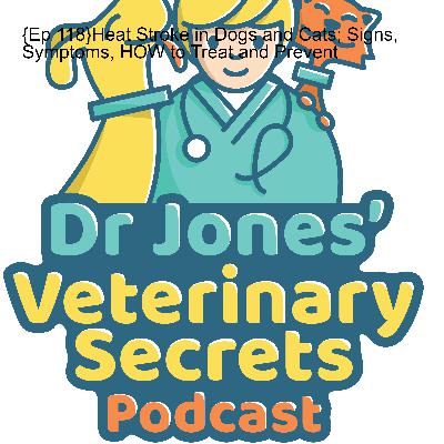 {Ep 118} Heat Stroke in Dogs and Cats; Signs, Symptoms, HOW to Treat and Prevent