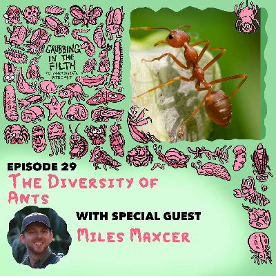 The Diversity of Ants with Miles Maxcer