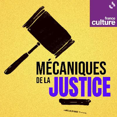 Mécaniques de la Justice, saison 1 : le procès Cottrez (intégrale)