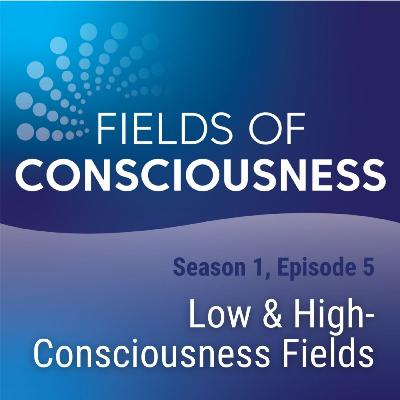 Ep 5: Low & High Consciousness Fields Ep 5: Low & High Consciousness Fields