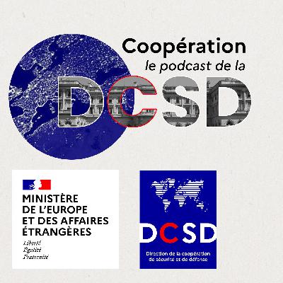 Thomas Rostaing : Coopération et enjeux stratégiques dans l'océan indien #20