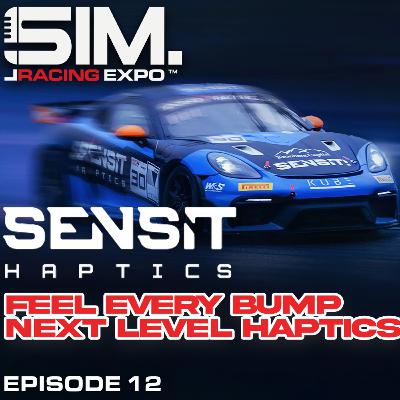 #12 Benjamin Heese - Feel Every Bump: Next Level Haptics with Sensit!