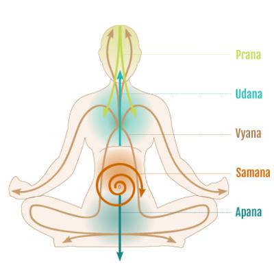 The 5 Vayus: Movements of Energy (Yoga Class Theme)