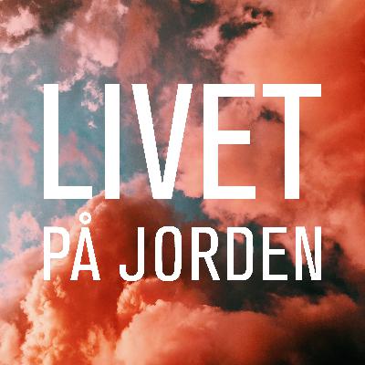 Avsnitt 15 - Livet på jorden med Petra Kahn Nord