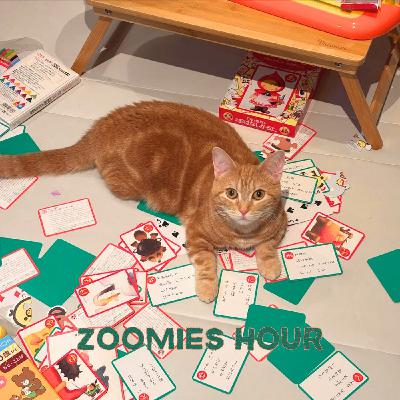 #035 猫のためにできること #035 猫のためにできること