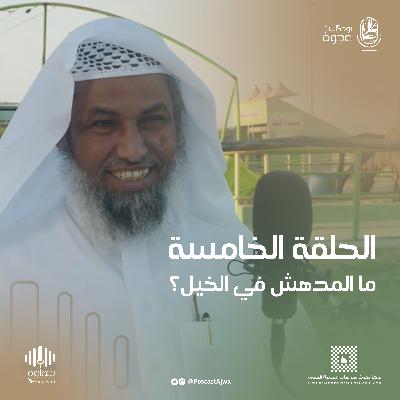 مالمُدهش في الخيل؟