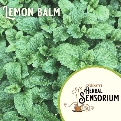 Poor lemon balm...and how only YOU can prevent herbal rumors.