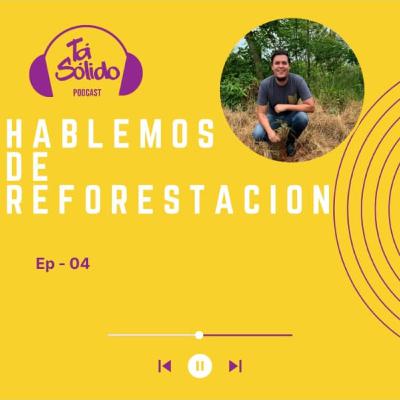 Hablemos de Reforestación