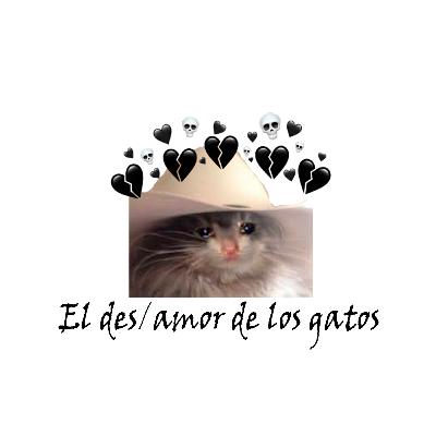 Gatitos y ayuda. Capítulo 1.