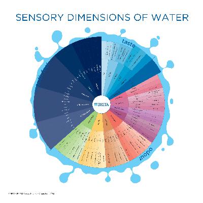 96 水，到底什么味儿？💧