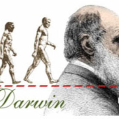 Darwin e a evolução