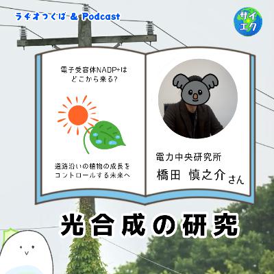 光合成の研究3/3：博士の十問十答　電力中央研究所　橋田さん