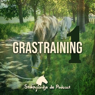 #10 Grastraining deel 1 met Jessica Brouwers #10 Grastraining deel 1 met Jessica Brouwers
