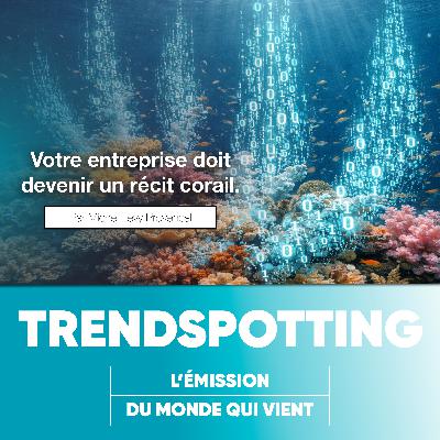 S5E6 - Votre entreprise doit devenir un récif corallien S5E6 - Votre entreprise doit devenir un récif corallien
