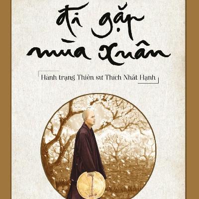 Review sách Đi gặp mùa xuân (Thầy Thích Nhất Hạnh) - Tập 20