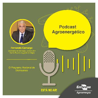 Fernando Camargo - Secretário de Inovação, Desenvolvimento Rural e Irrigação do Mapa