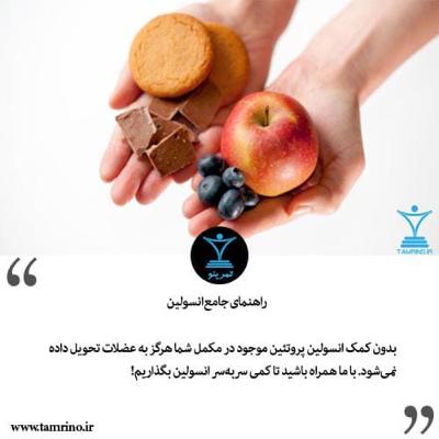 انسولین مسئول عضله سازی یا چربی سازی (هوش مصنوعی) انسولین مسئول عضله سازی یا چربی سازی (هوش مصنوعی)