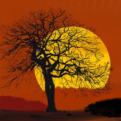 015 读书分享：天气不太好，钱也几乎没有