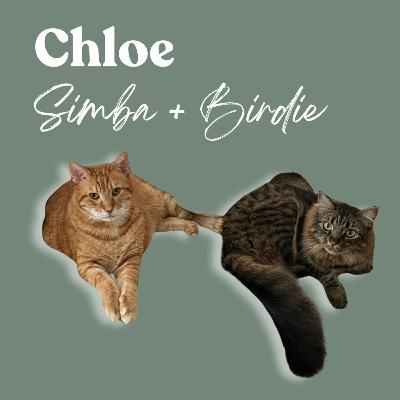 The Princess & The Health Detective: A Story of Two Soul Cats The Princess & The Health Detective: A Story of Two Soul Cats