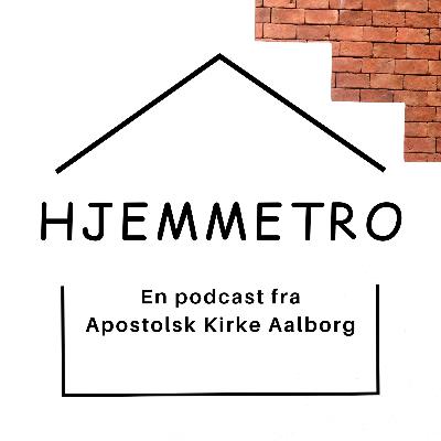 #1 Hvorfor Hjemmetro? m. Johs Hansen