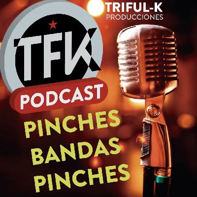 TFK 01 Bandas pinches
