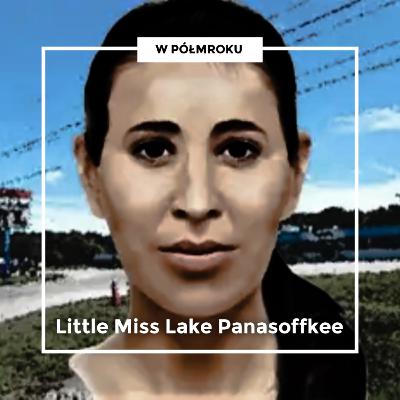 Dowody dzięki nauce | LITTLE MISS LAKE PANASOFFKEE Dowody dzięki nauce | LITTLE MISS LAKE PANASOFFKEE