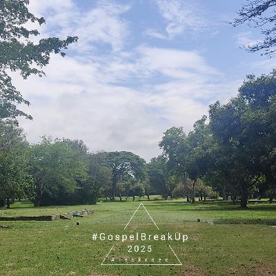 2025 Sin morir en el intento 2025 Sin morir en el intento