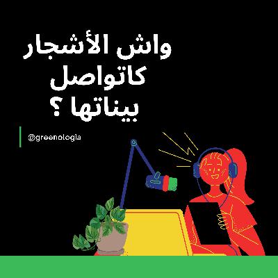 Épisode 4 - واش الأشجار كاتواصل بيناتها؟ Épisode 4 - واش الأشجار كاتواصل بيناتها؟