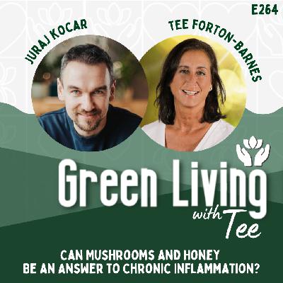 Juraj Kocar: Can Mushrooms and Honey Be an Answer To Chronic Inflammation?