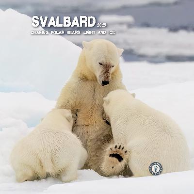 Svalbard 2025 Chasing Polar Bears, Light and Ice Svalbard 2025 Chasing Polar Bears, Light and Ice
