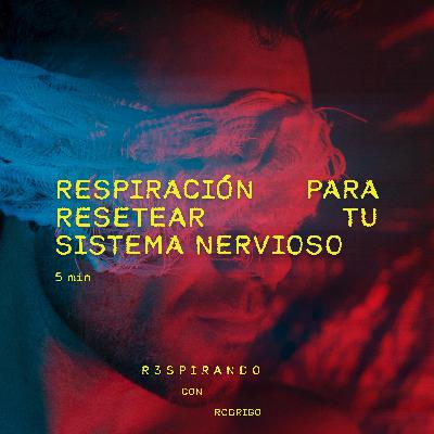 Regula tu Sistema Nervioso en 5 minutos