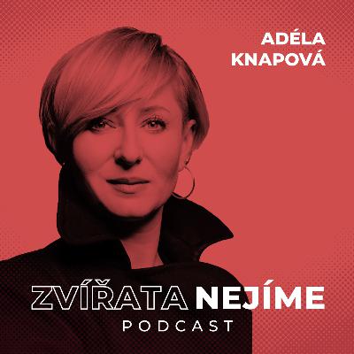 Adéla Knapová, reportérka Reflexu: Jak je těžké dostat se jako novinářka do chovů, slovník používaný v článcích o ptačí chřipce, kampaň Žeru maso