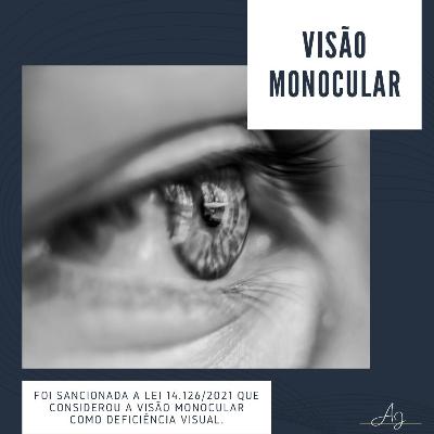 Visão Monocular Visão Monocular