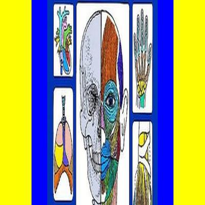 Free Book Human Anatomy Coloring Book an Entertaining and Instructive Guide to the Human Body - Bones  Muscles  Blood  Nerves and How They Work (Coloring Books) (Dover Science For Kids Coloring Books) Free Book Human Anatomy Coloring Book an Entertaining and Instructive Guide to the Human Body - Bones  Muscles  Blood  Nerves and How They Work (Coloring Books) (Dover Science For Kids Coloring Books)