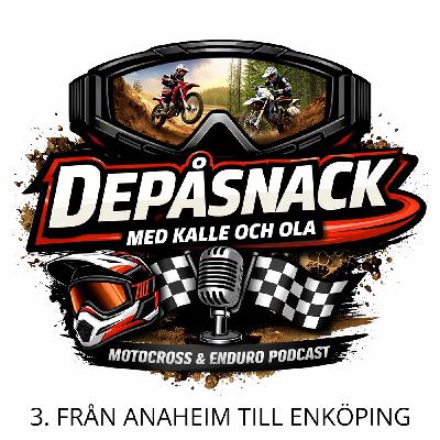 3. Från Anaheim till Enköping