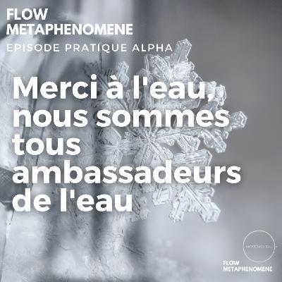 Episode Pratique 2 - Merci a l'eau - nous sommes tous ambassadeurs de l'eau