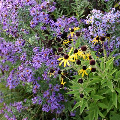 Grow Your Garden | Season 3, Episode 7 Grow Your Garden | Season 3, Episode 7