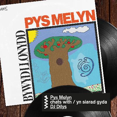 WMP 2021: 7. Pys Melyn