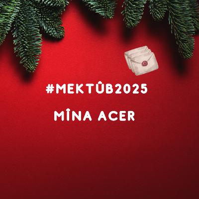 #354. Mektûb2025: Mîna Acer
