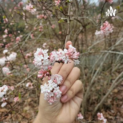 တစ်ယောက်ကို တစ်ယောက်က | ရင်ခွင်ရှိန်း