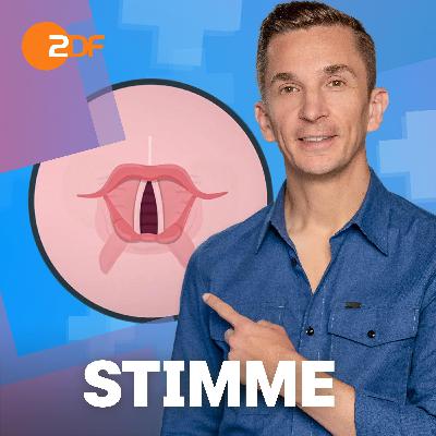 17|Stimme: So viel verrät sie über dich
