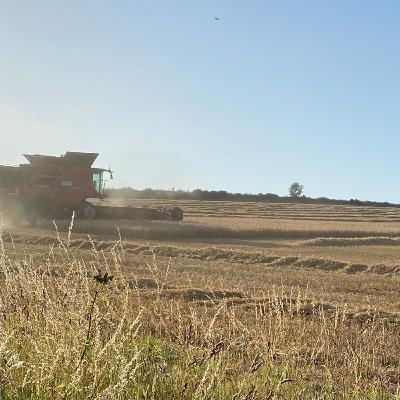 So what is precision ag, anyway? So what is precision ag, anyway?