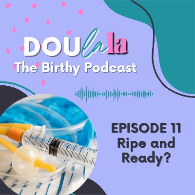 Ripe and ready? The basics of induction... Ripe and ready? The basics of induction...