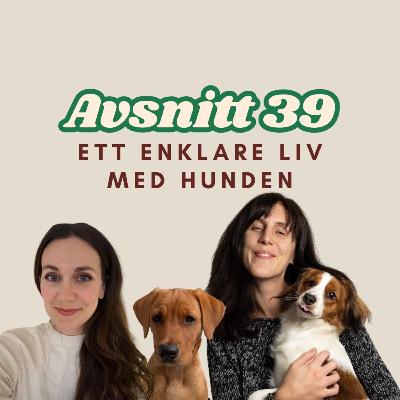 39. Ett enklare liv med hunden!
