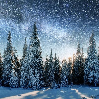 Deep Rest ~ Winter Solstice Music & Sound Healing